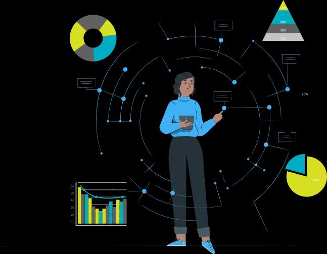 Python Application Developer